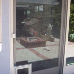 Pet Door installed on sliding screen door