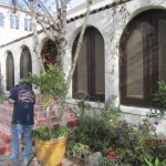 Arched Screens For Double Set French doors